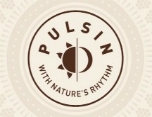 Pulsin  